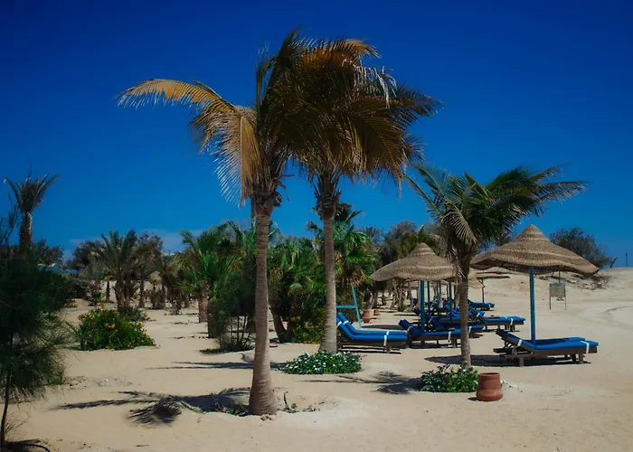 Neos Club Mangrove Bay 3*